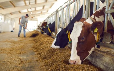 Why Farm Hygiene is Essential for Healthy Livestock