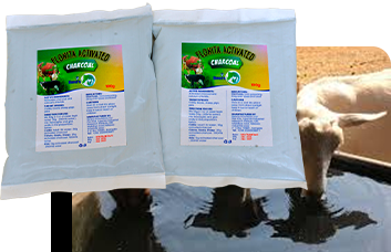 Flonita Activated Charcoal