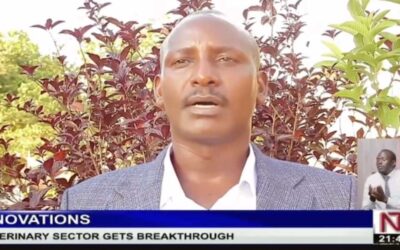 Tackling Livestock Challenges: Bwera Innovations CEO on the Foot and Mouth Disease Epidemic – NTV